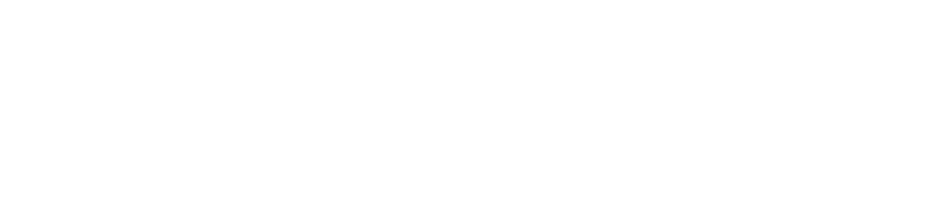 Reyes Pro Painting
